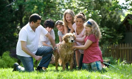 what to wear for family pictures